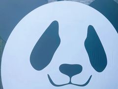 -都江堰中华大熊猫苑