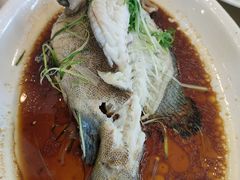 -益利大酒楼(井岸店)