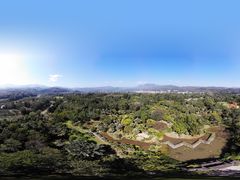 -中国科学院西双版纳热带植物园