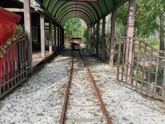 -合肥滨湖国家森林公园