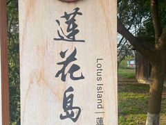 -莲花岛景区