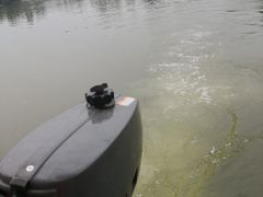 -三圣花乡旅游区