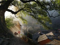 -杨家堂村