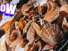 油泼扇贝-前海沿·青岛菜(大拇指广场石老人店)