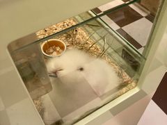 -龙猫仔乐园(惠福东路店)