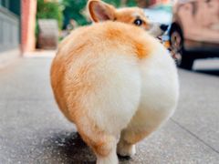 -古茗(义蓬购物中心店)