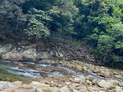 -姑婆山旅游区