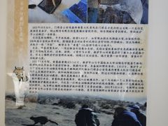 -青藏高原野生动物园
