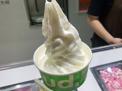 -Salud撒露欧洲冻酸奶(北苑上品店)