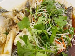 斑鱼(2味之1)-宜兴隆家宴·私房菜(泰安华庭店)