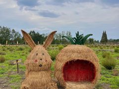 -中国天府农业博览园