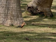 -白沙门生态公园