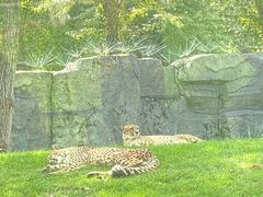 -北京野生动物园