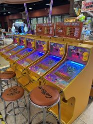 -卡通尼·Safari非洲探索乐园·生日会(金桥国际商业广场店)