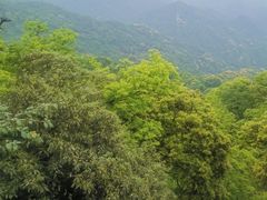 -青城山