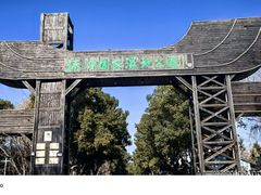 -溱湖国家湿地公园