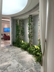 -艾维庭美学SPA