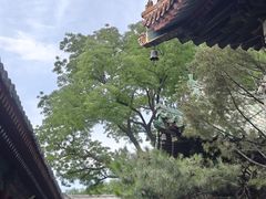 -广济寺