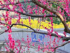 -蠡湖大桥公园