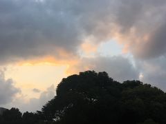 -上海科技馆(地铁站)