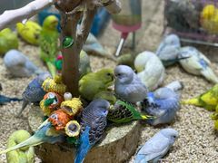 -三旗百汇商品城