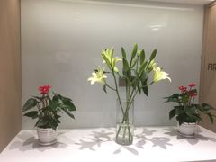 -柏乐口腔医院·舒适化无痛种植牙中心(东盟商务区院)