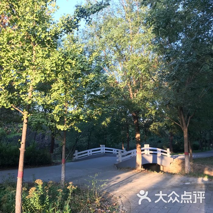 東壩郊野公園