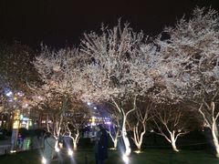 -大雁塔北广场音乐喷泉