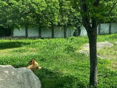 -西安秦岭野生动物园