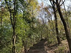 -紫金山山顶公园