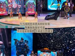-哈尔滨波塞冬海底世界