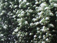 -仙海旅游度假区