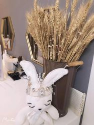 -美肌工坊皮肤管理