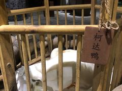 -馬蘭花開(车站大道店)