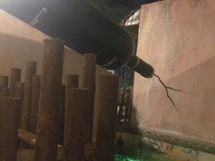 -泉城欧乐堡戏水湾艺术养生温泉