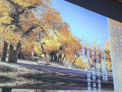 -西域胡氏大盘鸡(谈固店)