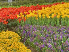 -玄武湖景区-情侣园游乐场