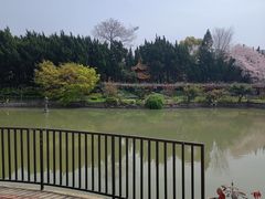 -嘉定紫藤园
