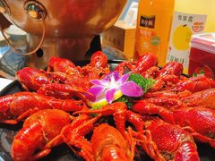 -蛙麻蛙辣炭火蛙锅(南环大街店)