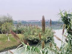 -眉山湿地公园(东坡区)