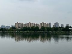 -鹤之洲湿地公园