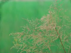 -野鸭湖国家湿地公园