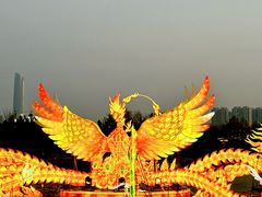 -武汉园博园(武汉自然博物馆)