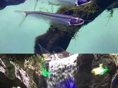 -多彩贵州城极地海洋世界