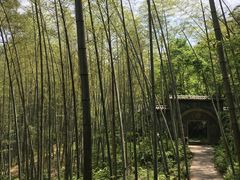 -磐安十八涡风景区