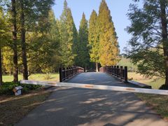 -黄海国家森林公园