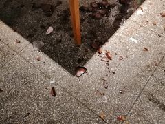 -巴人堂(女儿城店)