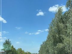 -金塔沙漠胡杨林景区