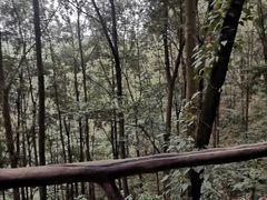 -三门江国家森林公园