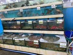 -秋姐美食店(旅游大道店)